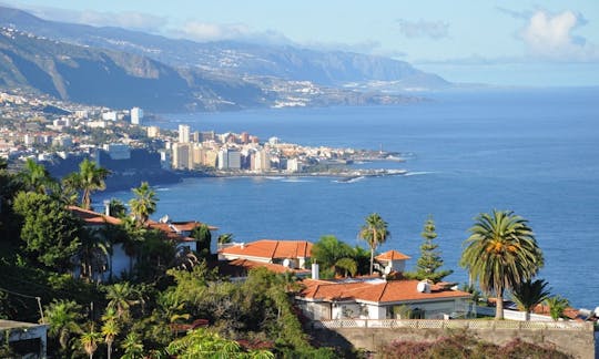 Guided Tour of Teide and Puerto de la Cruz in Tenerife