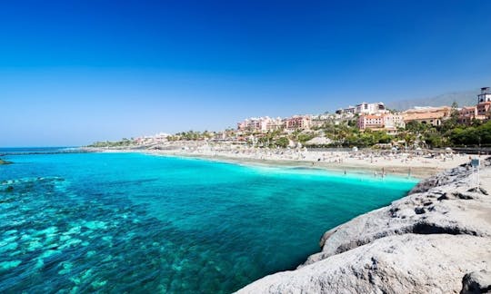 Santa Cruz de Tenerife half-day tour at your own pace