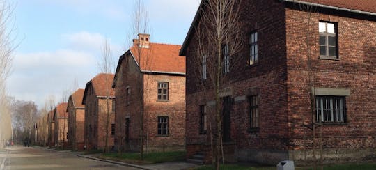 Auschwitz-Birkenau Museum and Memorial Tour from Krakow
