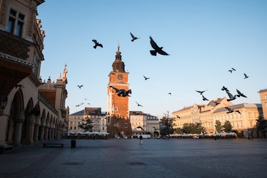 Krakow in one day: 3-hour  city tour by electric car with optional Schindler's Factory visit