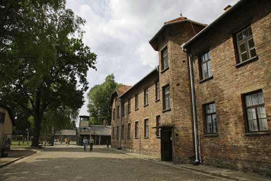 Full-day guided tour to Auschwitz and Wieliczka Salt Mine by minivan