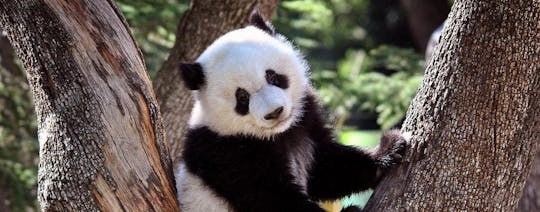 Zoo Aquarium Madrid skip-the-line tickets